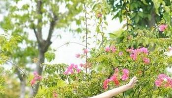 额外导航服务：今日51吃瓜网，让八卦来得更猛烈些吧！