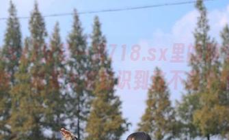 分享一波718.sx里的那个奇葩事件，结果大家意识到这不是个例…