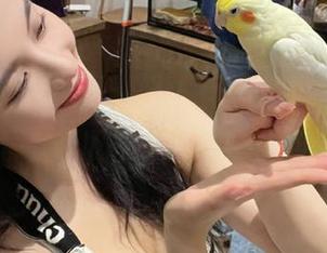 “hlwbet”上的永久瓜田，每天都有新收获，这是真有理？