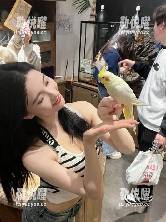 “hlwbet”上的永久瓜田，每天都有新收获，这是真有理？