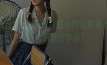这个zztt黑料网站真有点荒，没什么新鲜内容啊！
