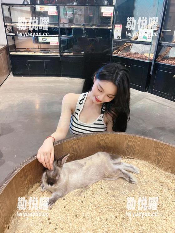 吃瓜网在手，链接一次性在线观看无数脑洞大开！