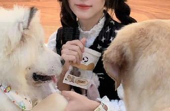 打着黑料的旗帜，在吃瓜网页版随手收藏快乐，一不小心竟成了八卦达人。