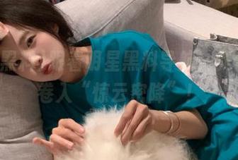 跟着明星黑料导航，我们一同卷入“惊云密降”！