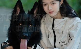 黑料不打烊苹果版，直达入口，丰富的信息总在等你！