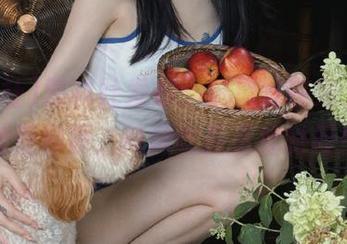 黑料社发布：这瓜真在线，咱们随便聊聊，纯粹吃瓜消磨时间！